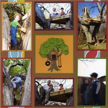 A Treehouse for Boys by Boys (2)