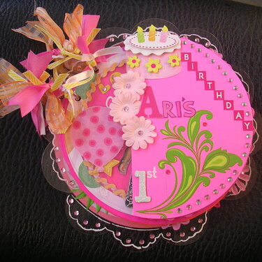 Niece&#039;s 1st Birthday_whole album