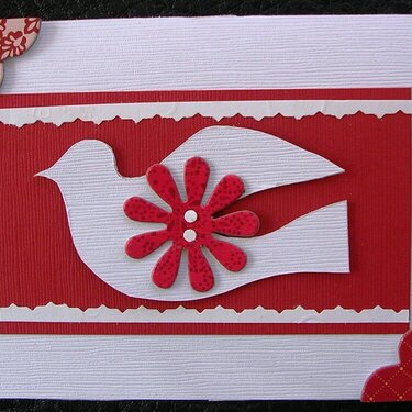 Christmas Card_White Dove