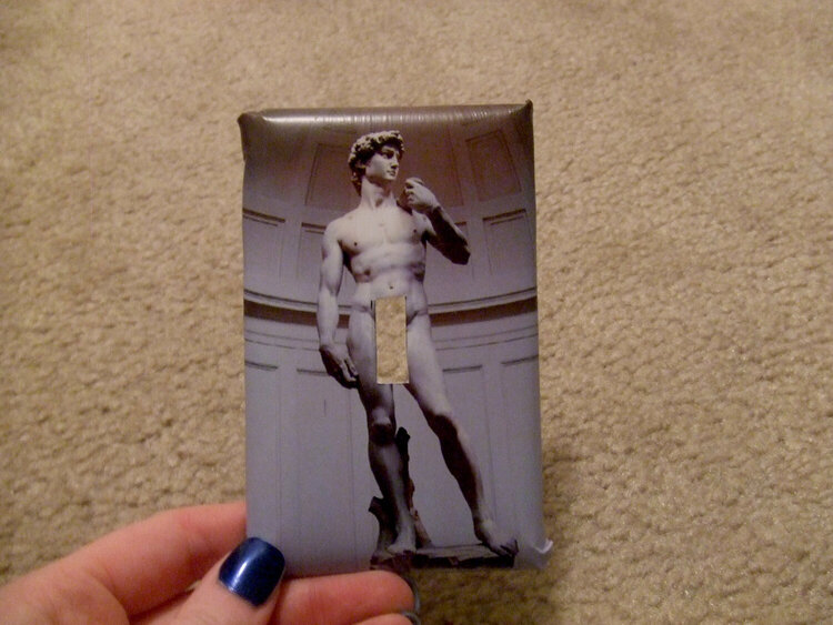 Statue of David LightSwitch Cover