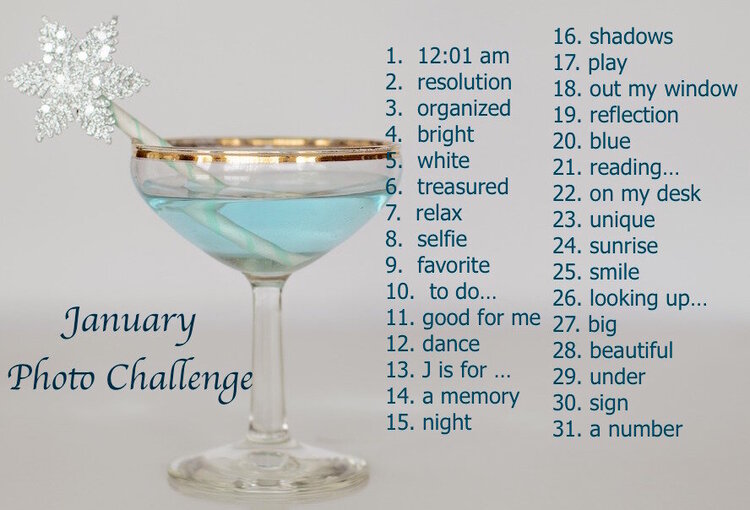 ~ JANUARY ~ Anything Goes Photo Prompt List