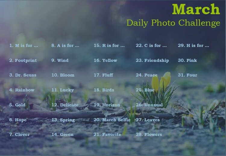 ~ MARCH ~ AGC Photography Challenge