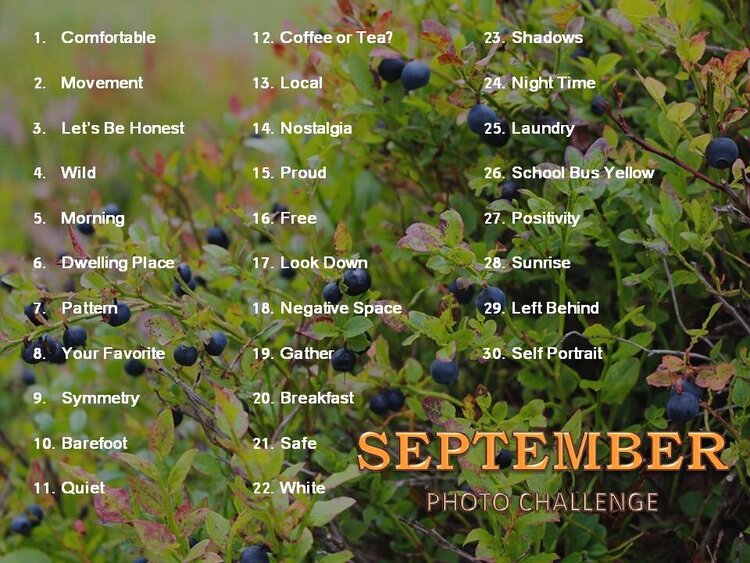 September ~ Photography Challenge