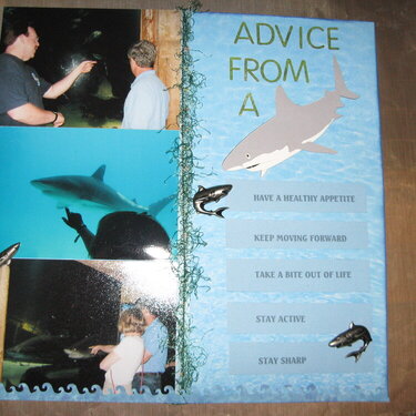 Advice from a Shark