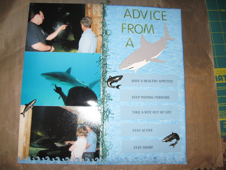 Advice from a Shark