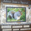 Advice from a Squirrel