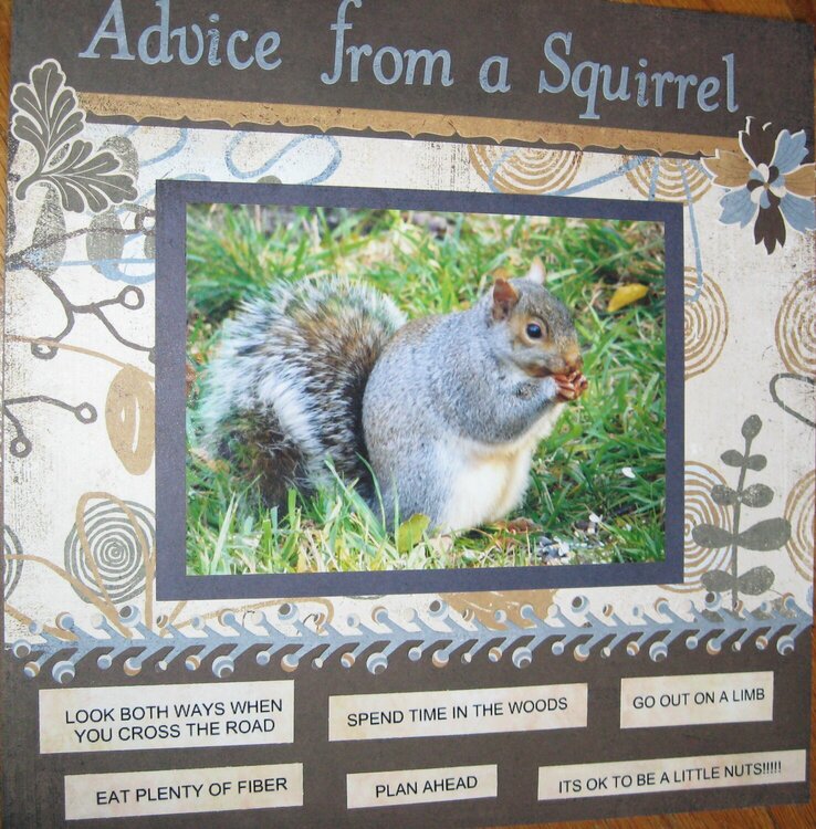 Advice from a Squirrel