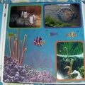 aquarium page 2