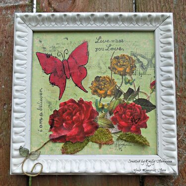 Framed Canvas with Butterfly