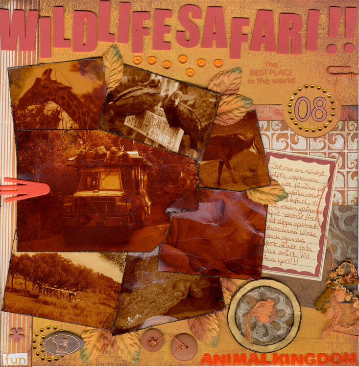 Wildlifesafari