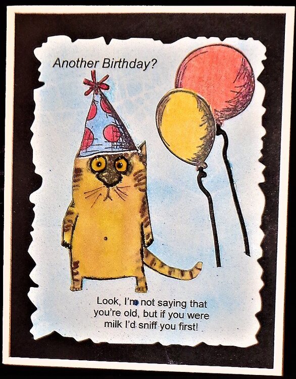 Sniff/Birthday Card - Snarky Cats