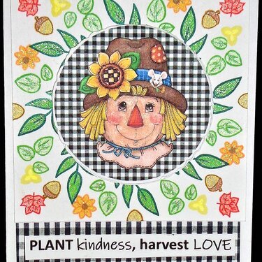 Plant Kindness, Harvest Love