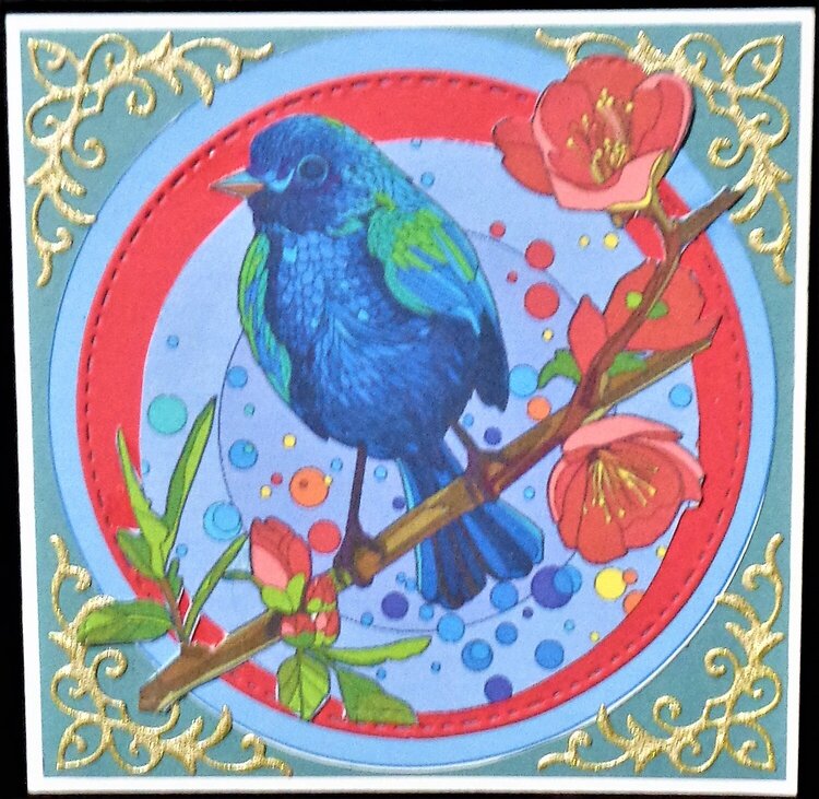 Note Card - Blue Bird