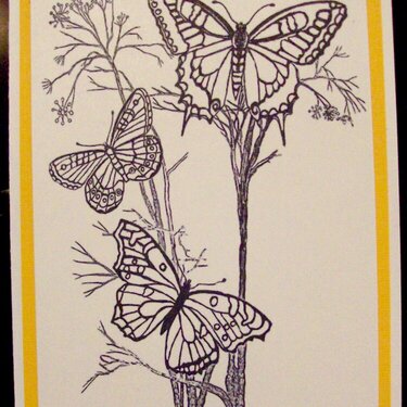 Adult Coloring Cards - Butterflies
