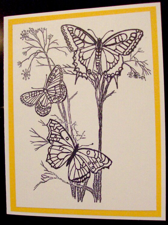 Adult Coloring Cards - Butterflies