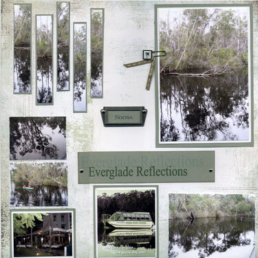 Everglade Reflections