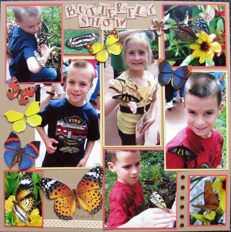 Butterfly Show pg1