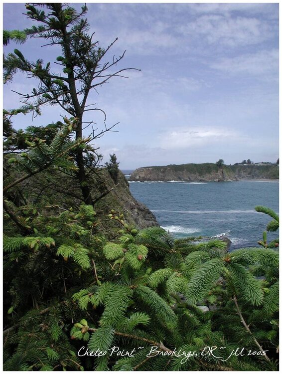 Chetco Point, another view