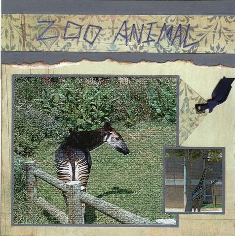 Zoo Animal (Page 1)