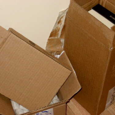 boxes waiting to be recycled (something I&#039;d never photograph) - august 7 (5 points)