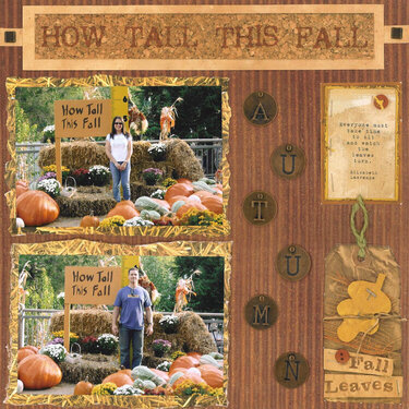 How Tall This Fall