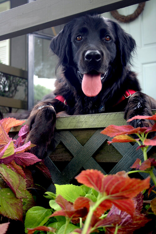 Enjoying the porch