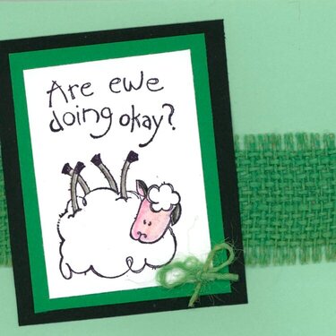 are ewe doing ok?
