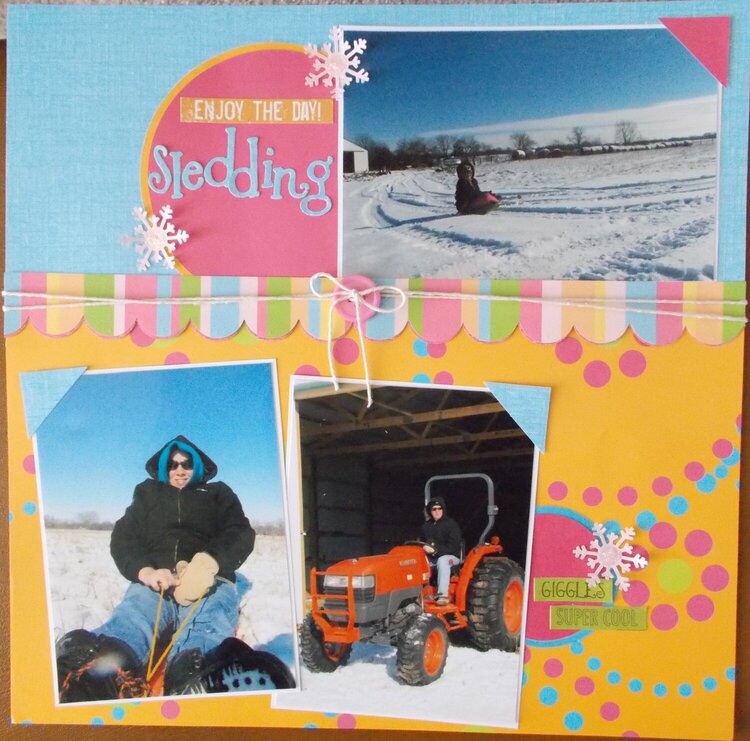 Enjoy The Day Sledding