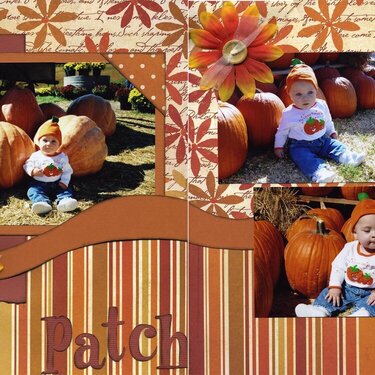 Pumpkin Patch 3