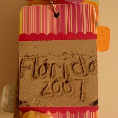 Tag Book Cover