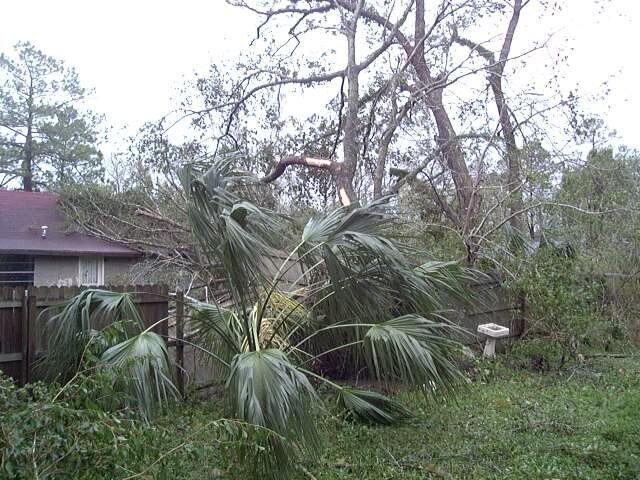 Hurricane Ivan