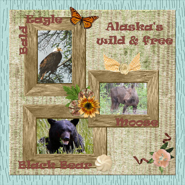 Alaskas wild and free