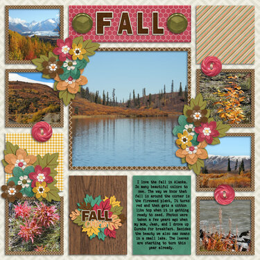 Fall Colors Alaska style