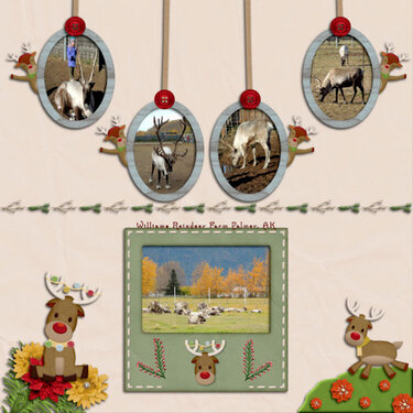 Williams Reindeer Farm