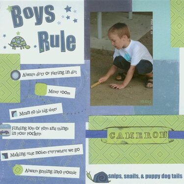 boys_rule_Small_