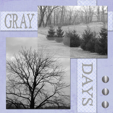 Gray Rainy Days
