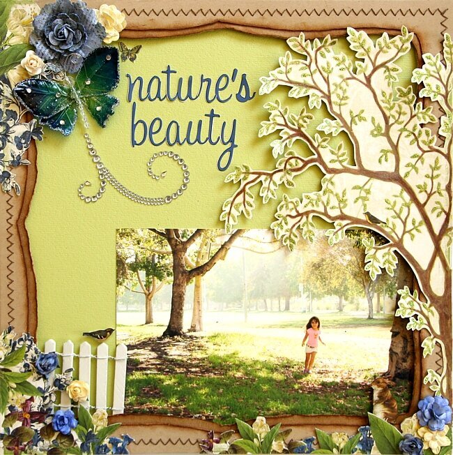 Nature&#039;s Beauty