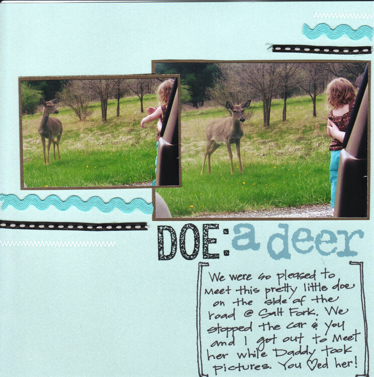 Doe: a deer