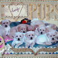 Lady's Pups