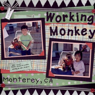 Working Monkey