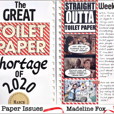 The Great Toilet Paper Shortage of 2020