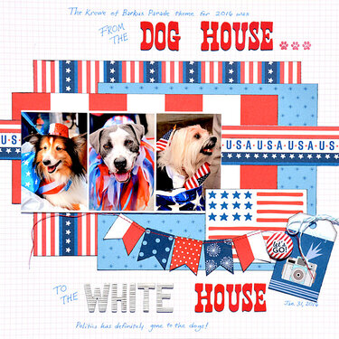From The Dog House To The White House
