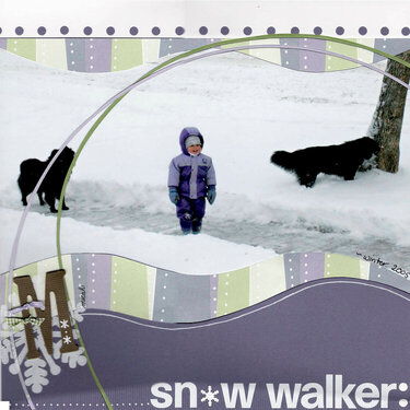 Snow Walker