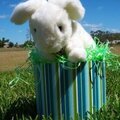 Bunny Swap Gift #14 