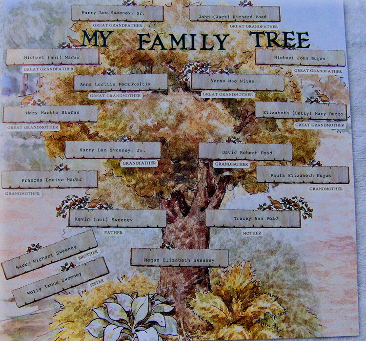 Family Tree - Megan Sweeney