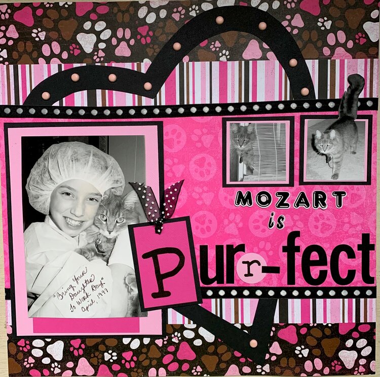 Mozart is Purr-fect