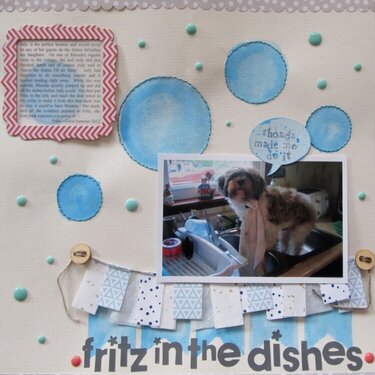 Fritz in the Dishes