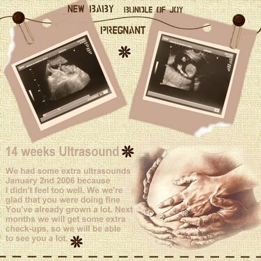 14 weeks ultrasound