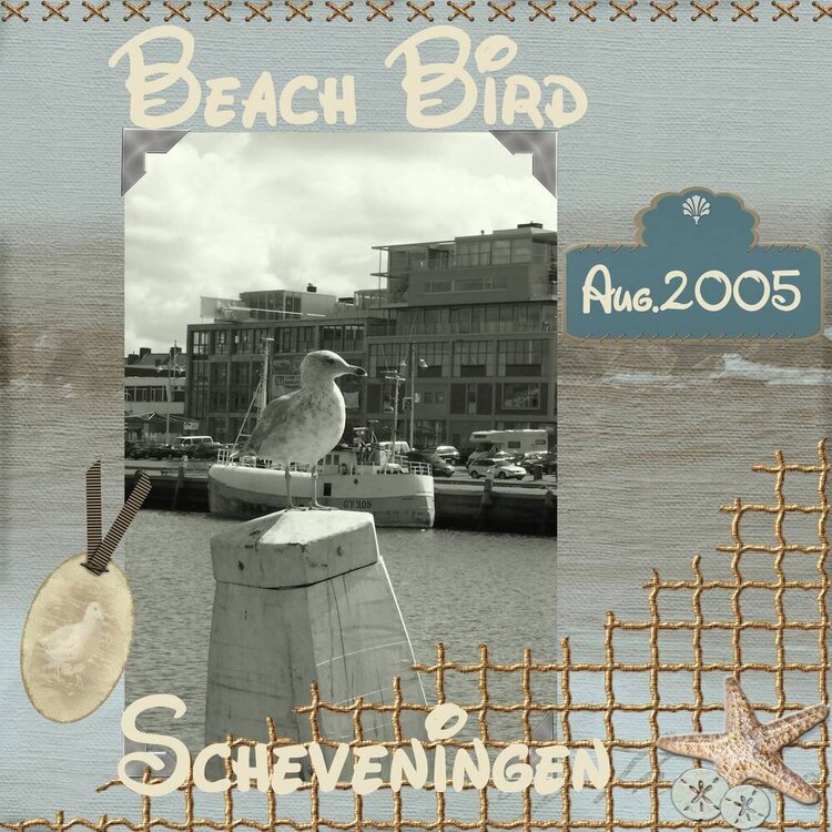 Beach Bird