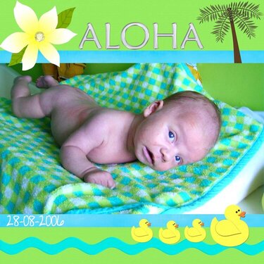 Aloha